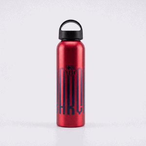 FC BARCELONA EDICION LIMITADA